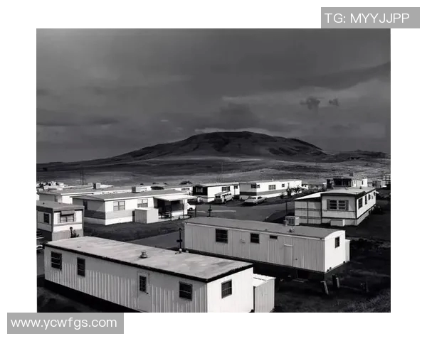 亚当斯的探索之旅：揭示科学与人文交汇的奥秘与未来展望